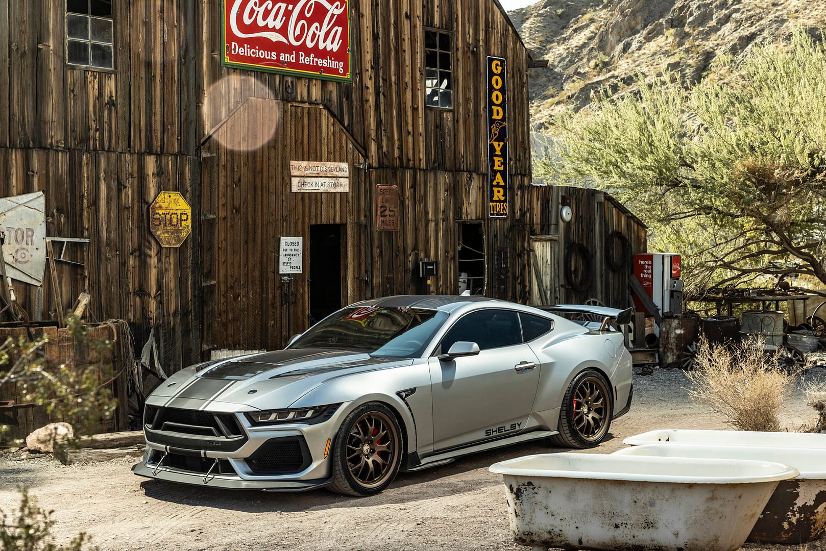 Shelby Super Snake Shelby Middle East Shelby Super Snake Shelby Middle East
