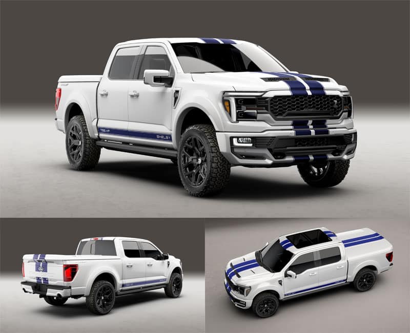 Shelby24f150-CS-1