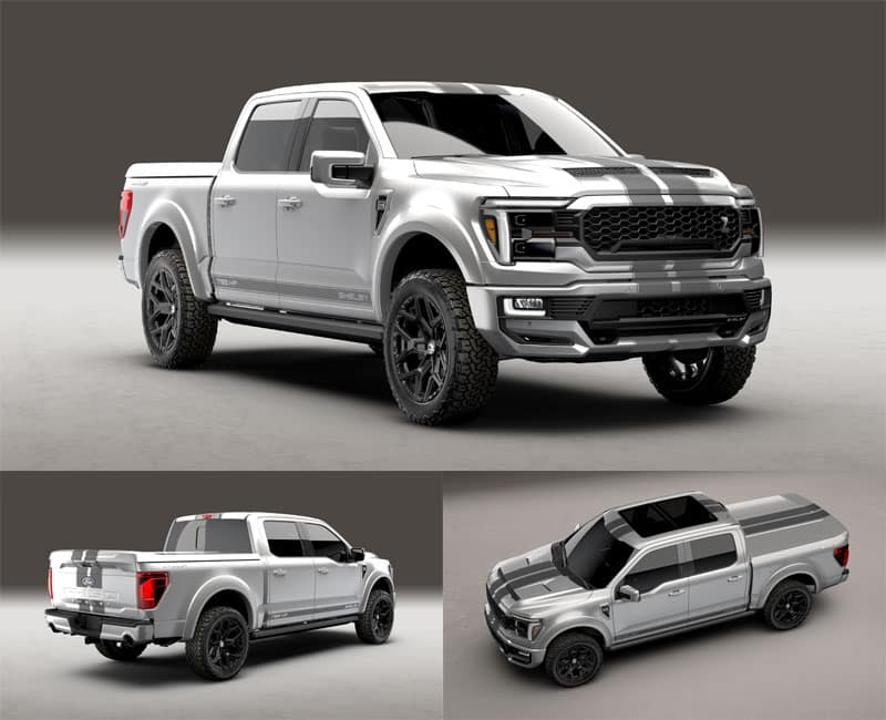 Shelby24f150-CS-3